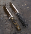 BB038-06 Varnas